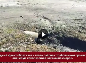 Дело труба: дом матери бойца СВО в Камне-на-Оби страдает от подтоплений из-за забитых сточных труб.