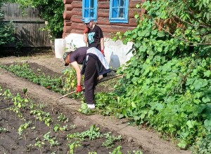 В КМОЦе приучают детей к труду и прививают им полезные навыки