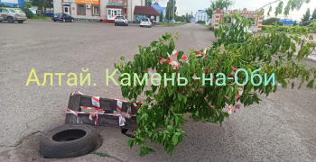 Арт-объект или предупреждение?