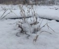 Вчера в городе Камень-на-Оби было летнее тепло, +16 градусов и ясная погода дарили жителям города хорошее настроение.