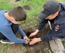 В Камне-на-Оби сотрудники полиции совместно с Общественным советом приняли участие во Всероссийской акции «Сад Памяти»