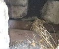 Игнорирование жалоб жителей: когда обещания не подкреплены делом