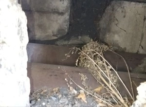 Игнорирование жалоб жителей: когда обещания не подкреплены делом