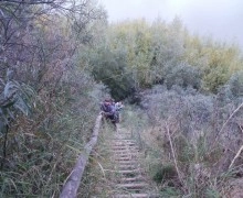 Конфуз