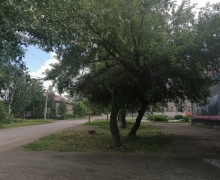 В Камне-на-Оби идёт подготовка к весеннему половодью