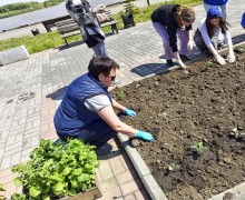 Студенты медколледжа высадили цветы в клумбы