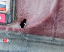 «Невинные  мальчики»