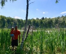 Каменские джиперы облюбовали метеоритное озеро