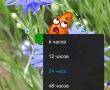 Истории в Телеграм: плюсы и минусы 