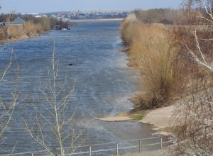 Фотографии майской природы: прогулка вдоль канала и реки