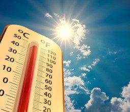 Аномальная жара ожидается в Алтайском крае с 11 по 19 июля