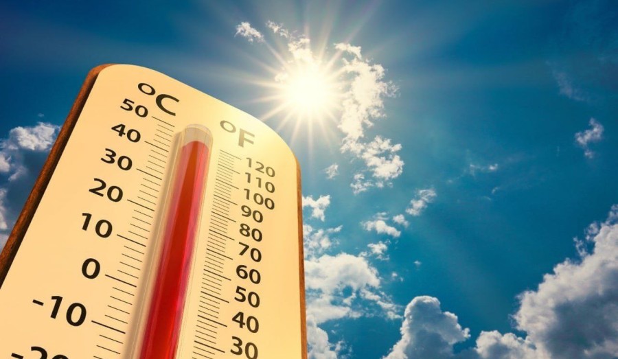Аномальная жара ожидается в Алтайском крае с 11 по 19 июля