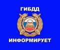 Госавтоинспекция Алтайского края разъясняет возможность  проверки штрафов и их оплаты