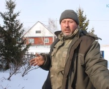 «Невинные  мальчики»