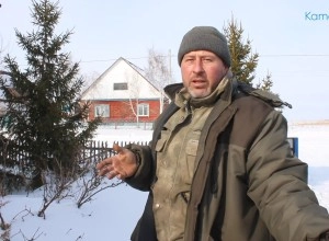 «Невинные  мальчики»