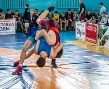 В спортивном зале Каменского педагогического колледжа прошёл XII турнир по греко-римской борьбе, посвящённый «Дню защитника Отечества».
