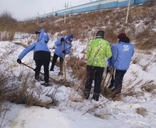 Дмитрий Беляев рассказал о помощи жителям по улице Мичурина в Камне-на-Оби