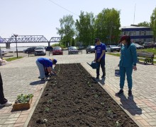 Студенты медколледжа высадили цветы в клумбы