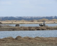 Фотографии майской природы: прогулка вдоль канала и реки
