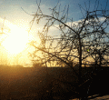 Сегодня, 29 марта, жители города Камня-на-Оби проснулись под ярким солнцем.