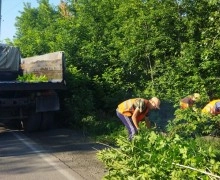 Благодарность Администрации Каменского района и Центру управления регионом за оперативное улучшение безопасности на перекрестке Томская - Мамонтова