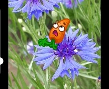 Истории в Телеграм: плюсы и минусы 