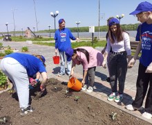 Студенты медколледжа высадили цветы в клумбы