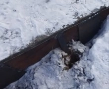 Игнорирование жалоб жителей: когда обещания не подкреплены делом