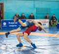 В спортивном зале Каменского педагогического колледжа прошёл XII турнир по греко-римской борьбе, посвящённый «Дню защитника Отечества».