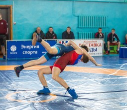 В спортивном зале Каменского педагогического колледжа прошёл XII турнир по греко-римской борьбе, посвящённый «Дню защитника Отечества».