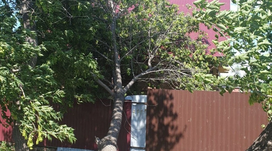 Последствия урагана уже устраняются