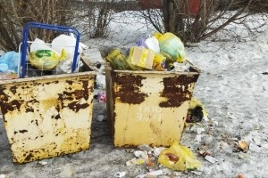 Не вывозят мусор (подменили контейнеры)