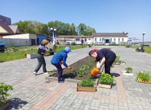 Студенты медколледжа высадили цветы в клумбы