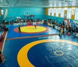В Камне-на-Оби прошли соревнования по греко-римской борьбе среди юношей 2010-2012 гг.р.