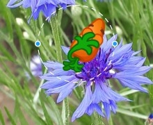 Истории в Телеграм: плюсы и минусы 