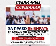 Публичные слушания О прямых выборах главы района