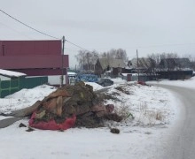 Мусор с теплотрас