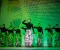 В Каменском районном дворце культуры прошёл благотворительный концерт в поддержку участников СВО «Служить России!».